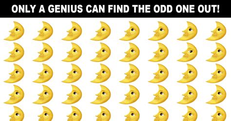 odd one out picture quiz|Tough Odd One.